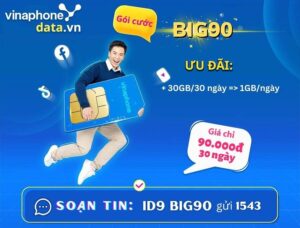 huong-dan-dang-ky-goi-cuoc-big90-vinaphone