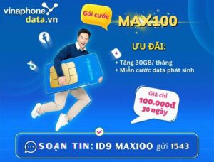 huong-dan-dang-ky-goi-cuoc-max100-vinaphone