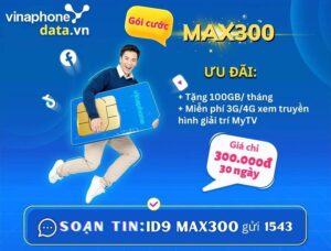 huong-dan-dang-ky-goi-cuoc-max300-vinaphone