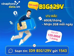 huong-dan-dang-ky-goi-cuoc-big129v-vinaphone