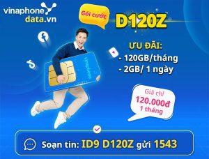 huong-dan-dang-ky-goi-cuoc-d120z-vinaphone