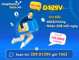 huong-dan-dang-ky-goi-cuoc-d159v-vinaphone