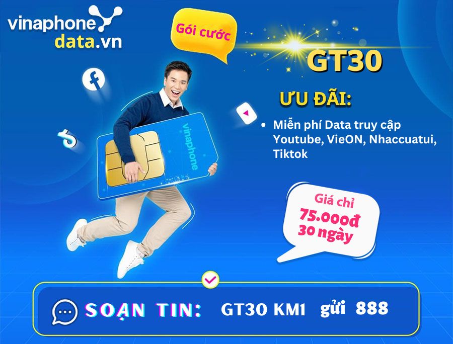 huong-dan-dang-ky-gt30-vinaphone