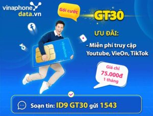 huong-dan-dang-ky-gt30-vinaphone