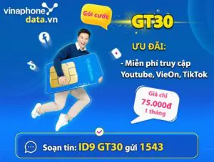 huong-dan-dang-ky-gt30-vinaphone