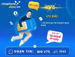 huong-dan-dang-ky-goi-cuoc-v75-vinaphone