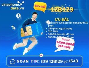 12b129-vinaphone-free-data-goi-thoai-suot-nam