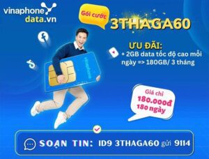 3thaga60-vinaphone-uu-dai-2gb-ngay-suot-3-thang