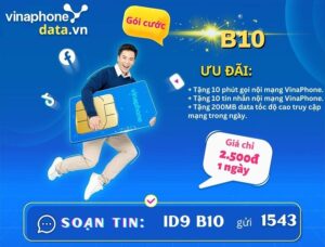 b10-vinaphone-combo-data-thoai-sms-trong-ngay