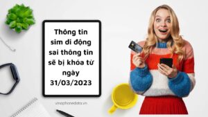 thong-tin-sim-si-dong-sai-thong-tin-se-bi-khoa-tu-ngay-31-03-2023